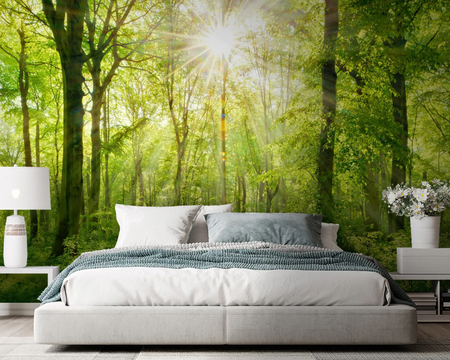 fototapet Cărare în pădurea însorită u22252