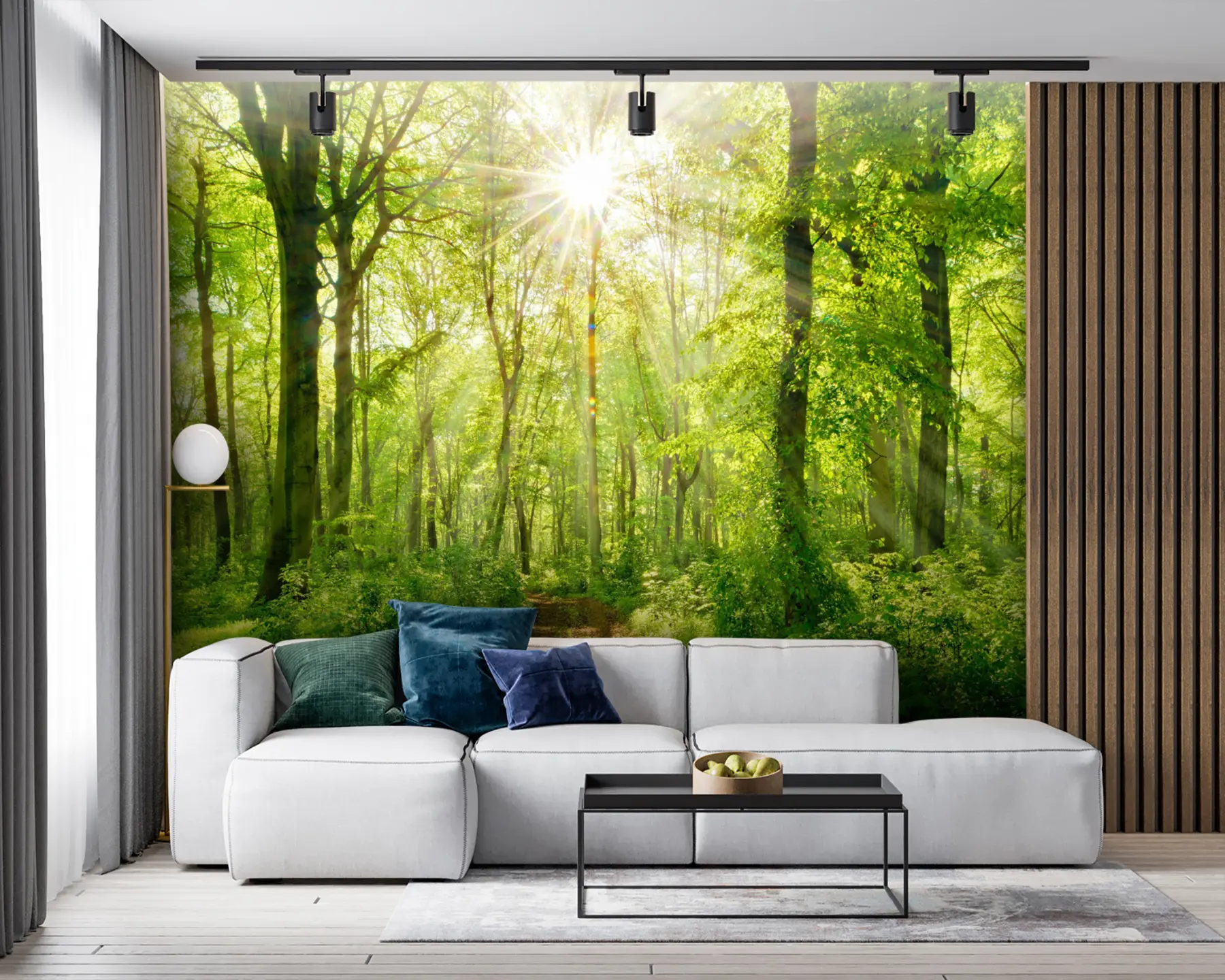 fototapet Cărare în pădurea însorită u22252