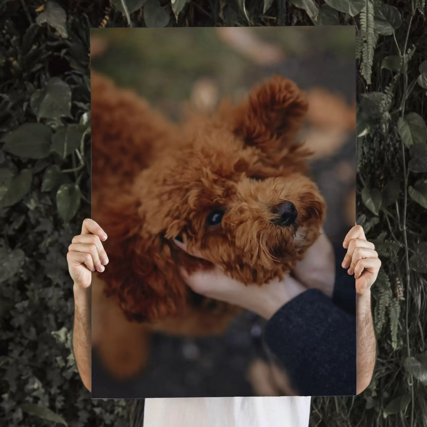Tablouri Câinele tău realizat la comandă după fotografia ta s47163