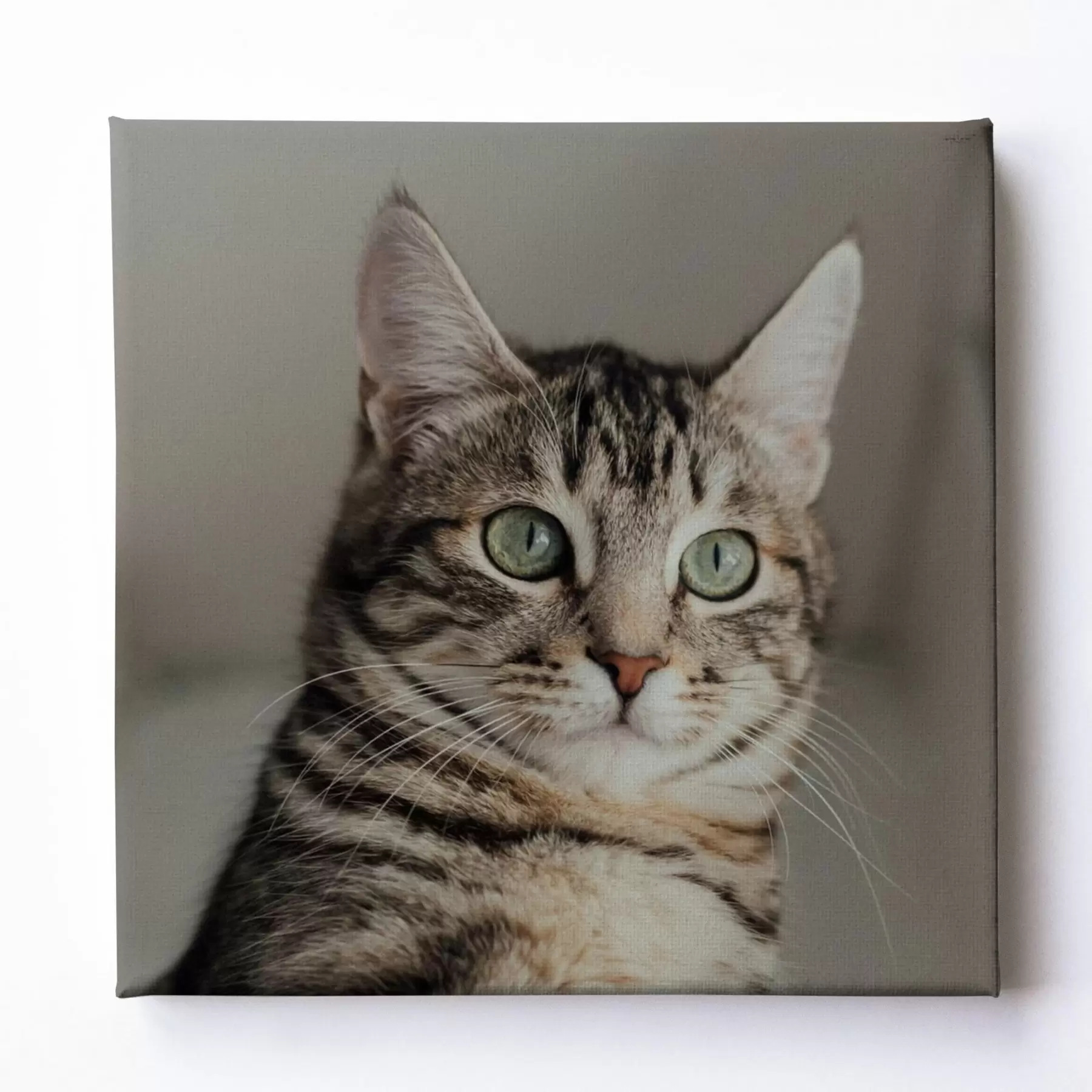 Tablouri Cadou romantic pentru un cuplu pe baza unei fotografii s47204