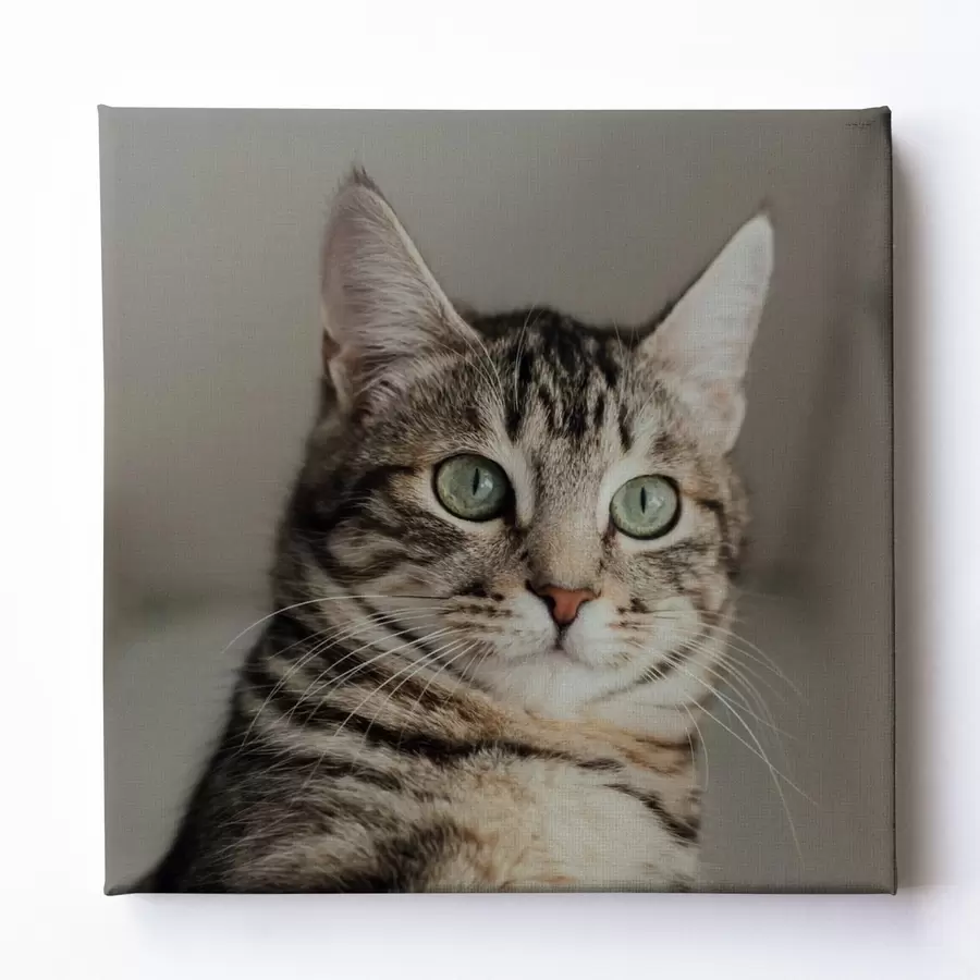 Tablouri Cadou romantic pentru un cuplu pe baza unei fotografii s47204