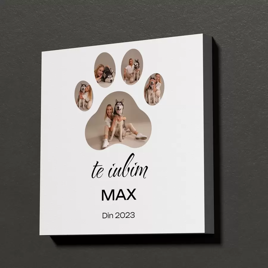 Tablouri Colaj foto în formă de lăbuță pe pânză pentru tine și animalele tale dragi s47589