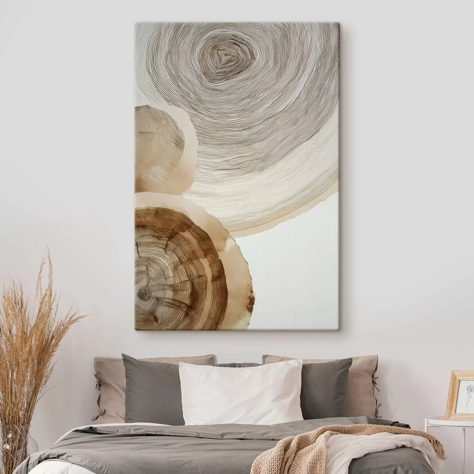 Tablouri inele anuale abstracte ale copacilor s47934