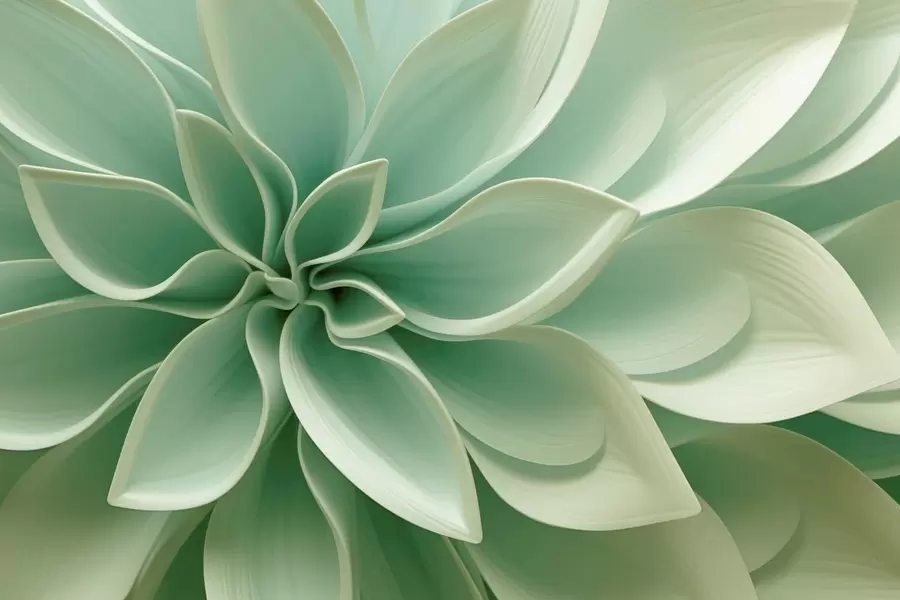 fototapet Geometria botanică w05559