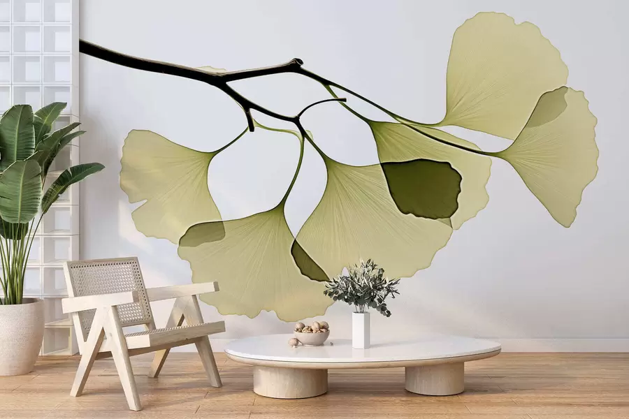 fototapet Frunze de ginkgo în formă de evantai w09968