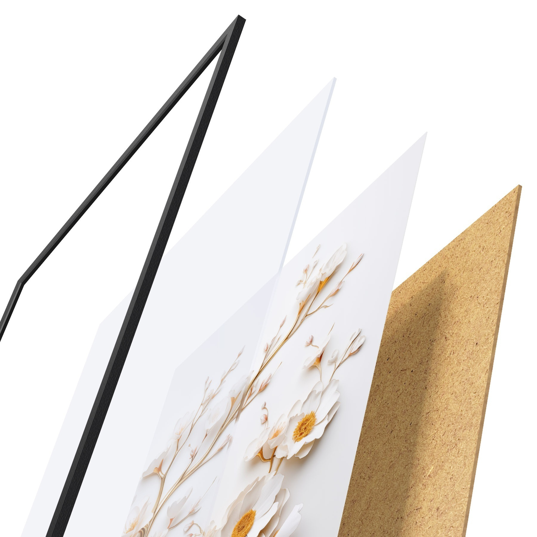 Poster Magnolii albe f50033