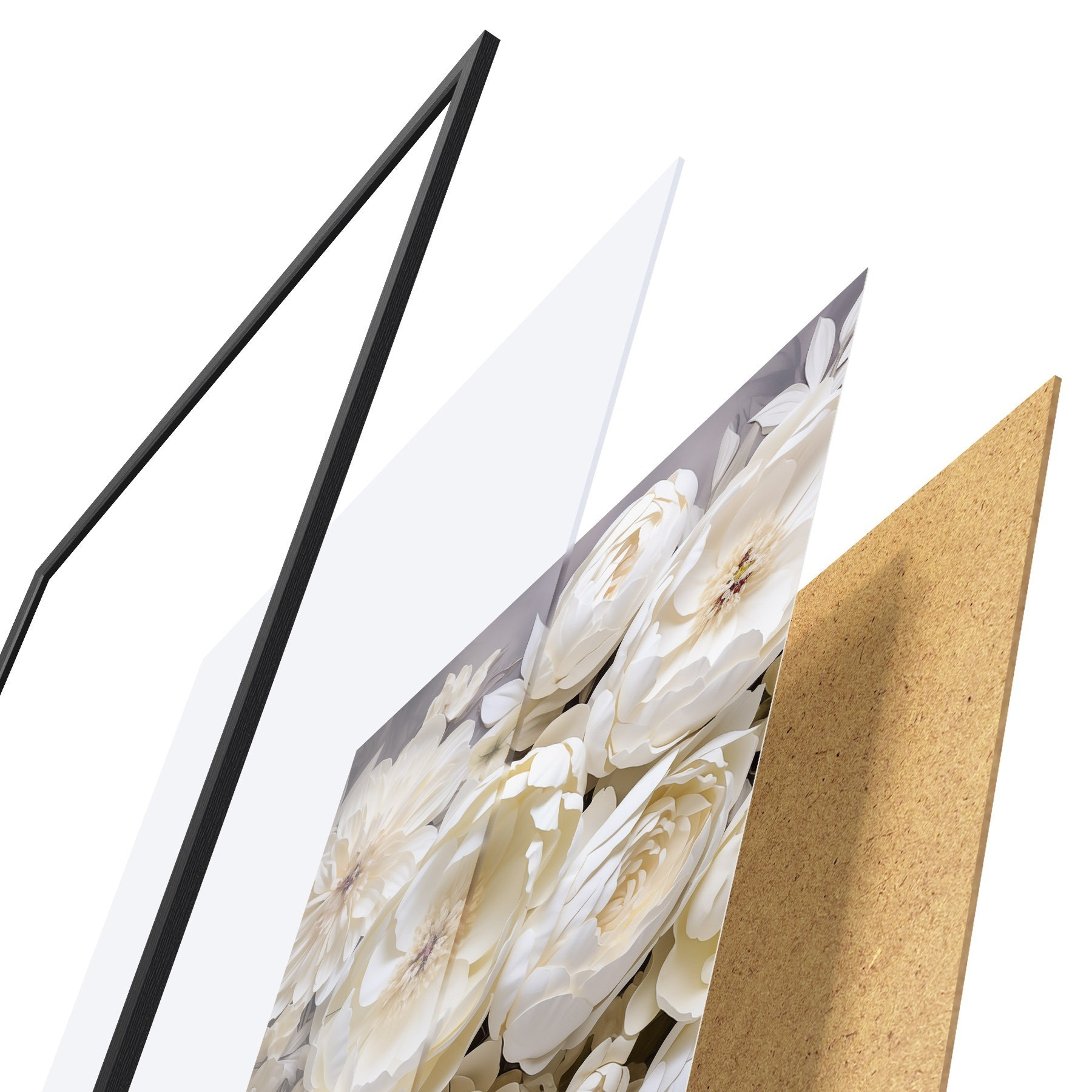 Poster Peonii albe f50034