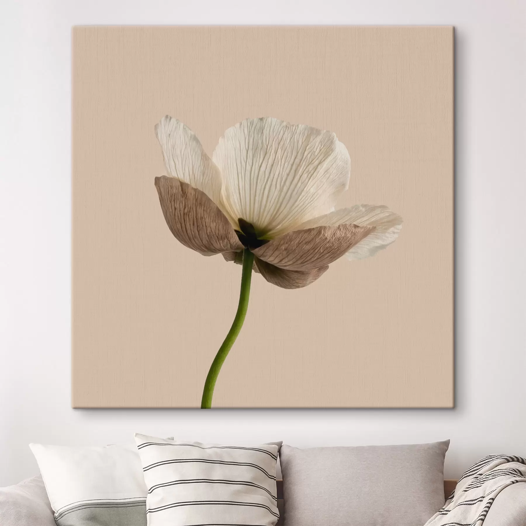 Tablouri Floare delicată cu petale translucide pe un fundal bej, în stil minimalist s49718