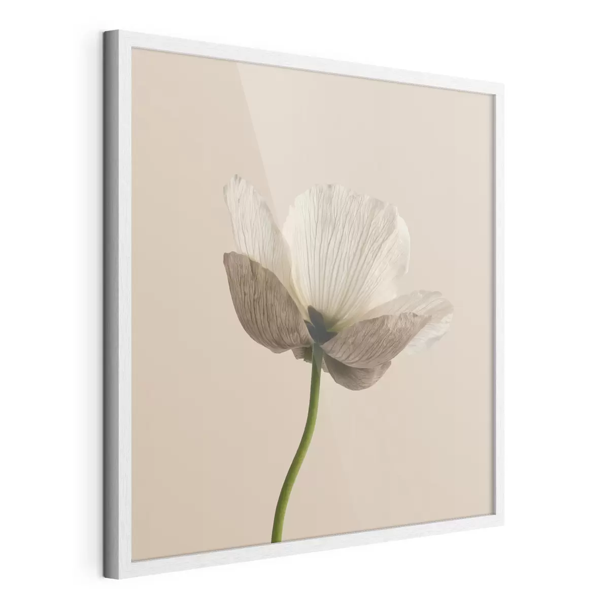 Poster Floare delicată cu petale translucide pe un fundal bej, în stil minimalist f49718