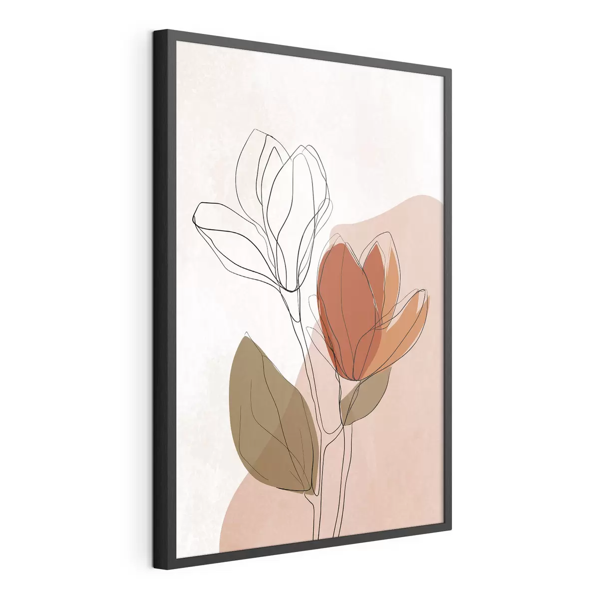 Poster Studiu botanic f50110