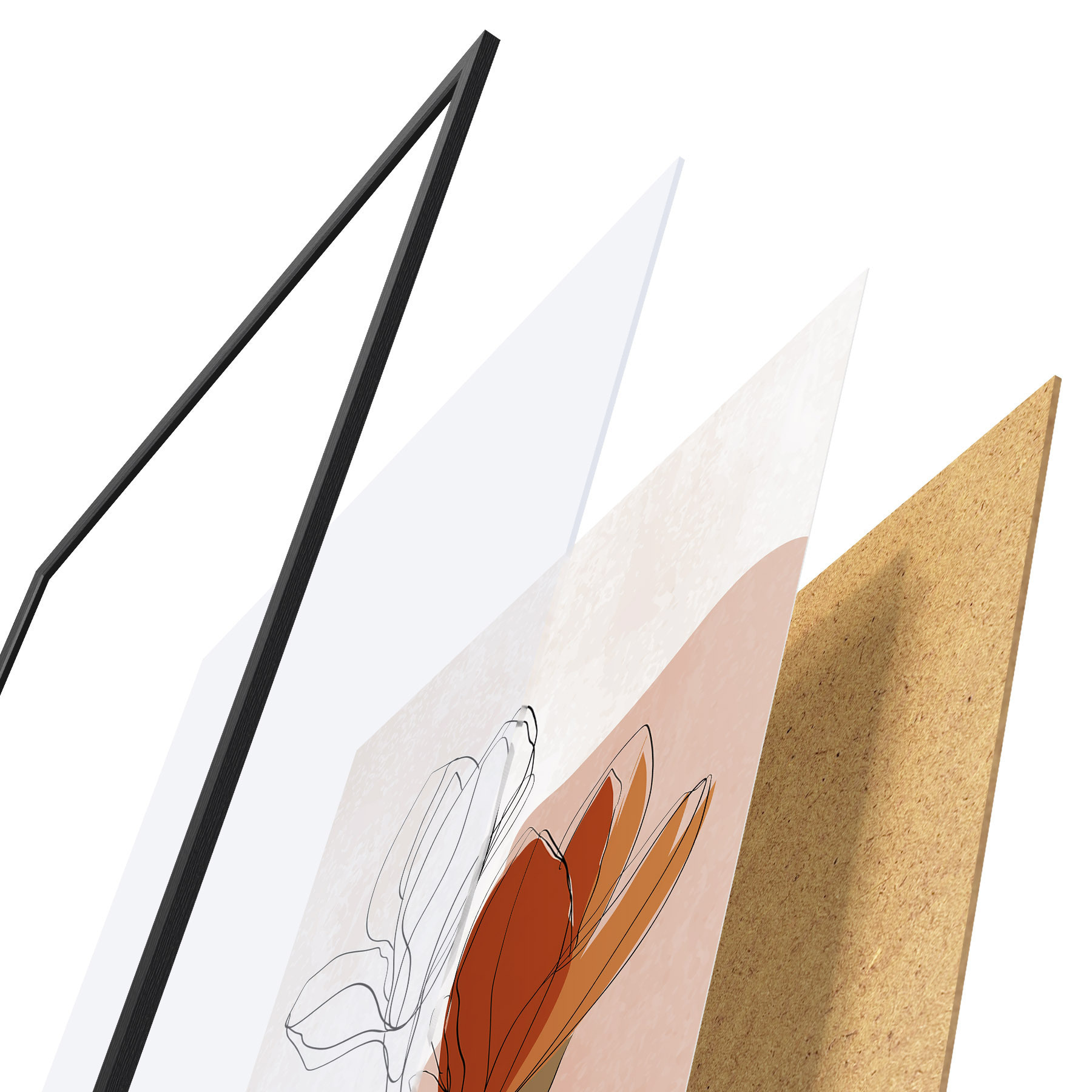 Poster Studiu botanic f50110