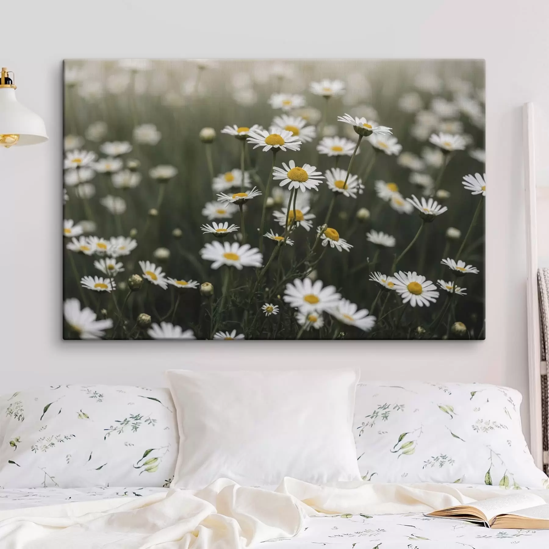 Tablouri Câmp de margarete albe cu mijlocul galben s50588