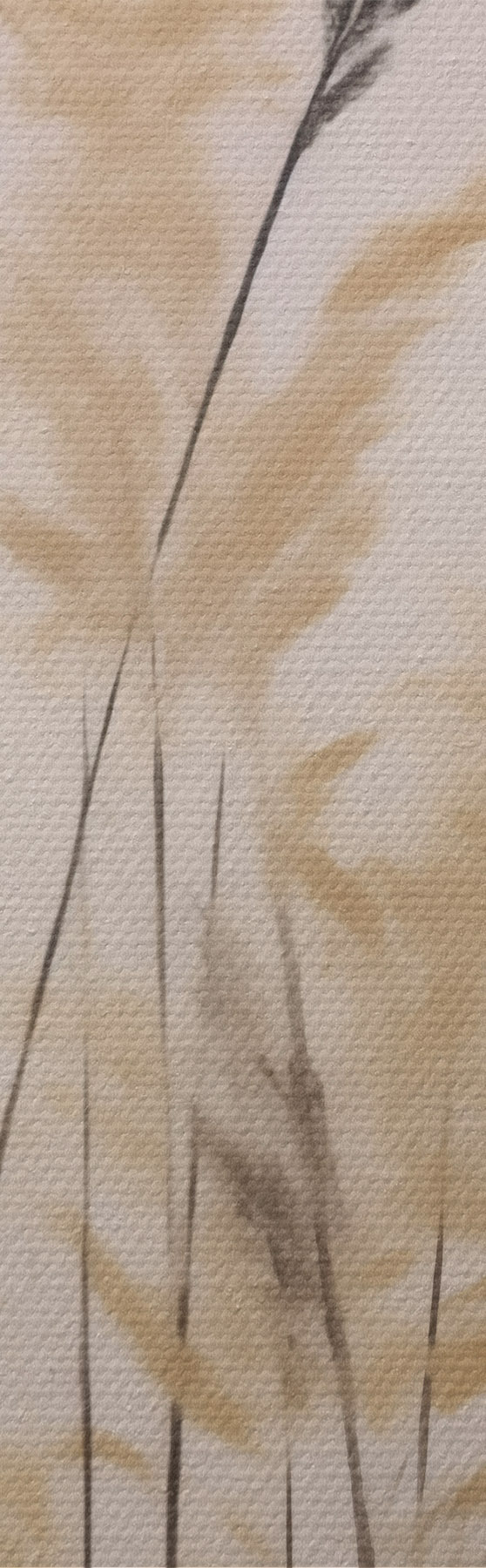 Tablouri Ierburi abstracte pe fundalul lunii, imitație de tablou s50985