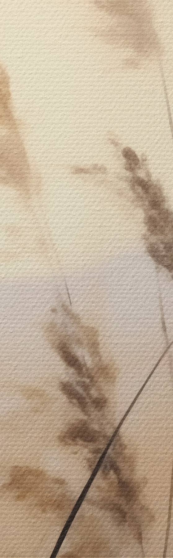 Tablouri Plante abstracte, pictură în stil imitație s50986