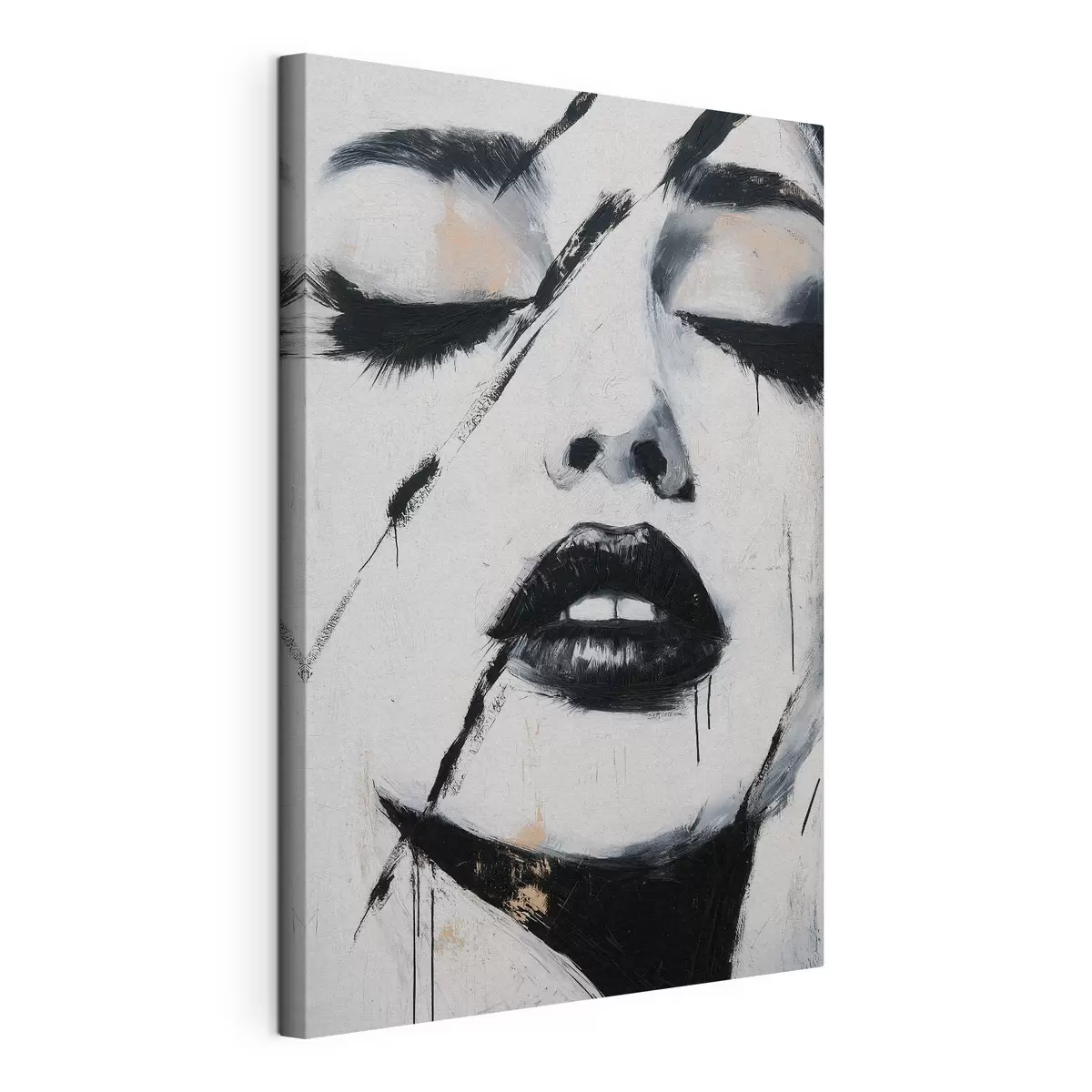 Tablouri Portret abstract s50999