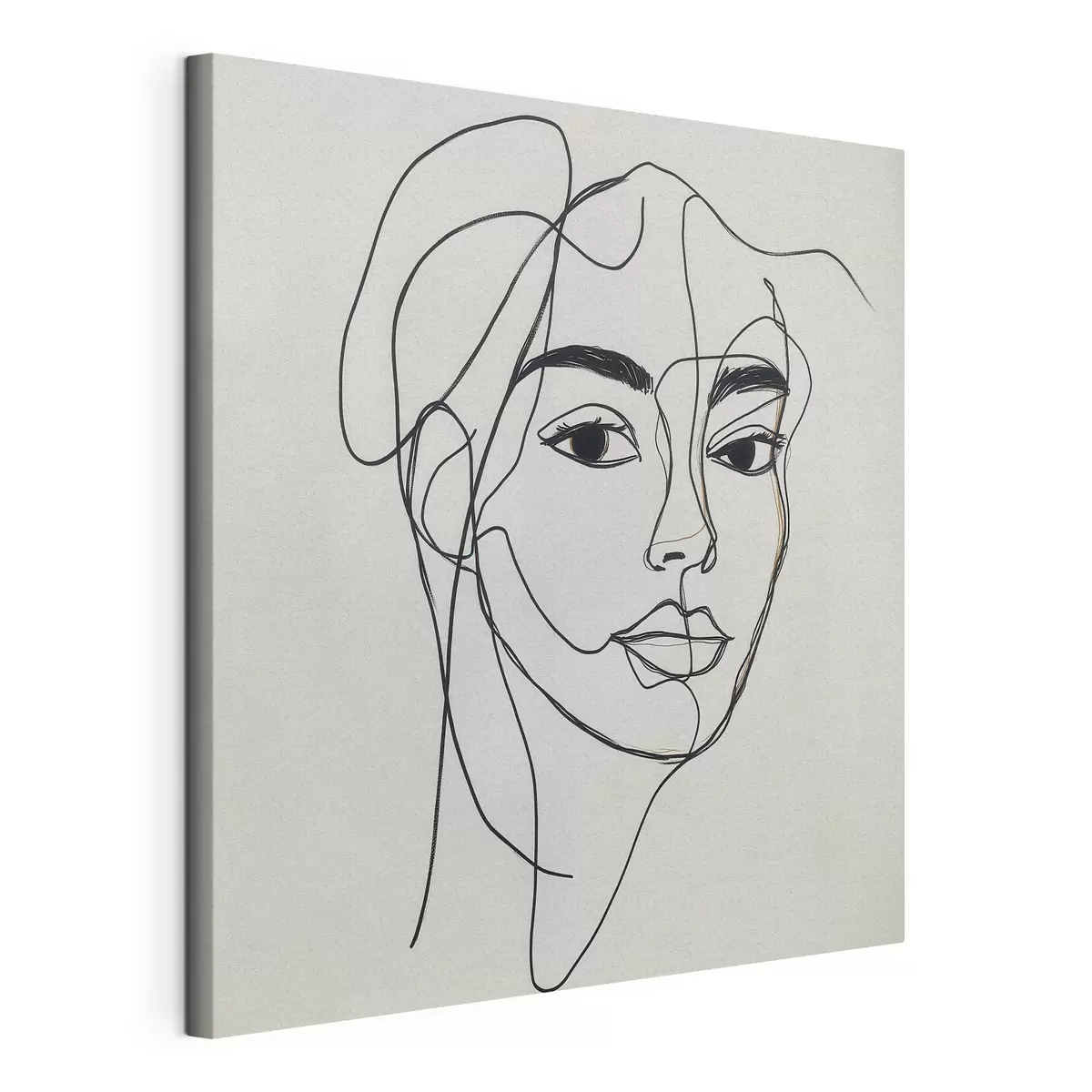 Tablouri Portret liniar al unui chip s51001