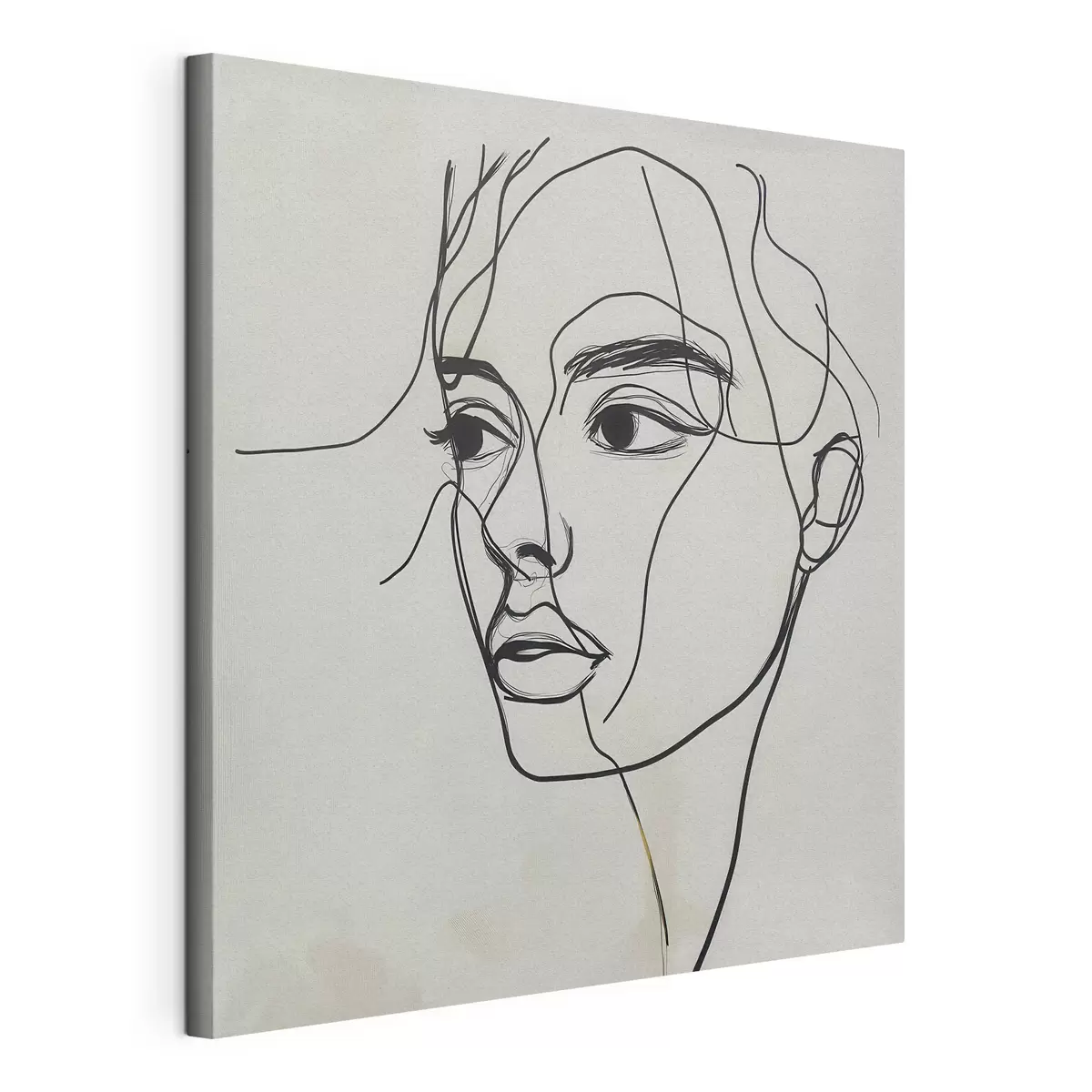Tablouri Portret liniar al unui chip s51002