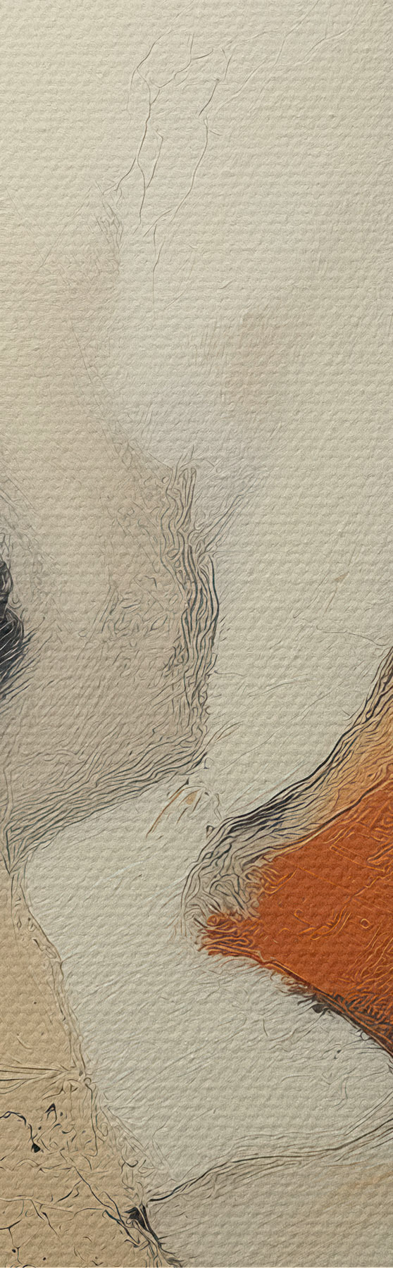 Tablouri Abstracție s51016
