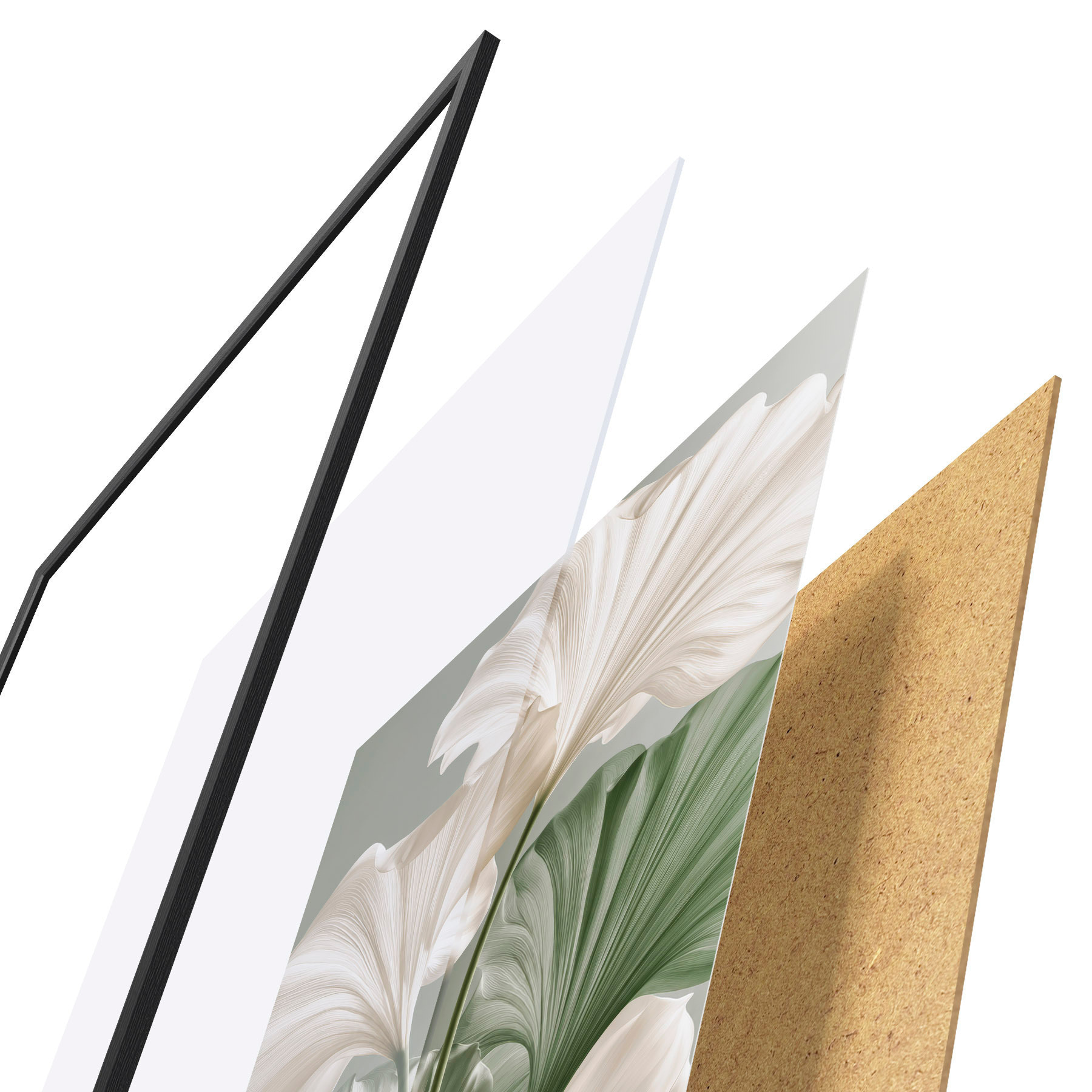 Poster Frunze delicate d31037