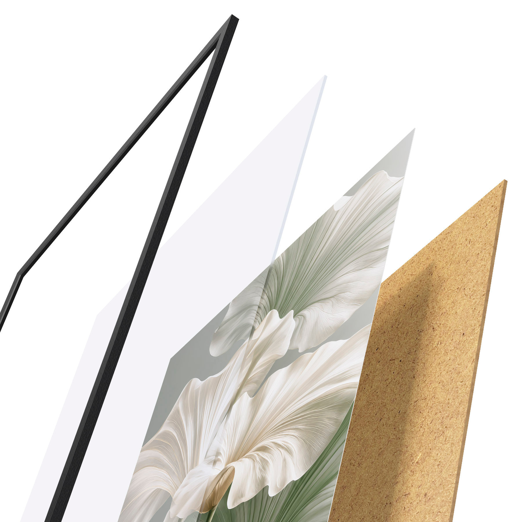 Poster Frunze delicate f50868