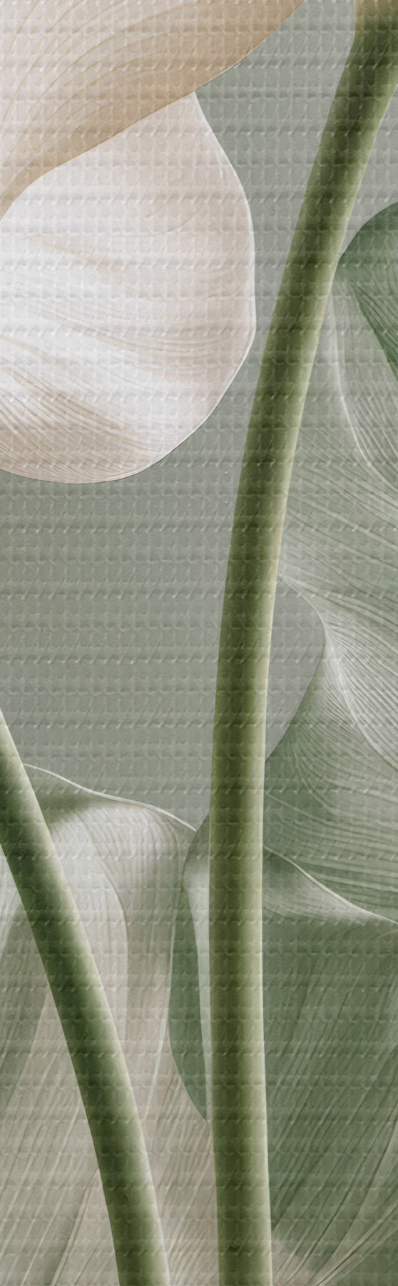 Tablouri Frunze delicate m31037