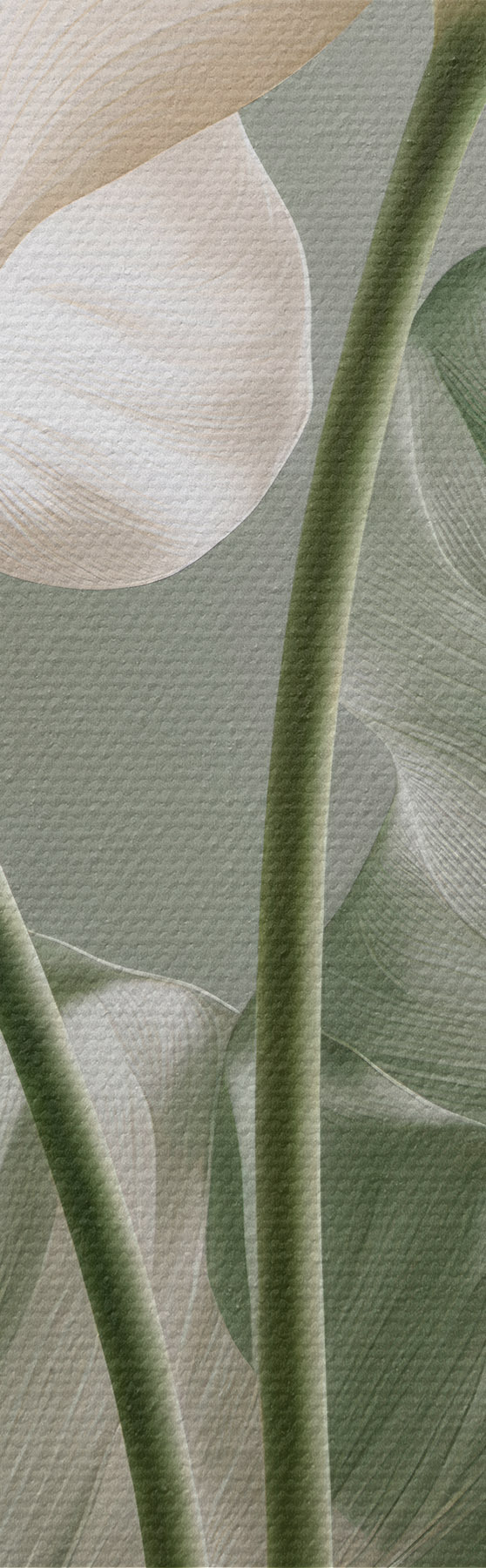 Tablouri Frunze delicate s50867