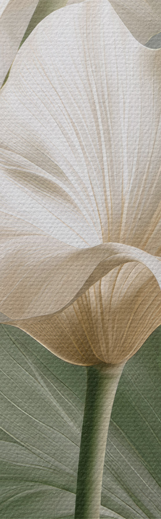 Tablouri Frunze delicate s50868