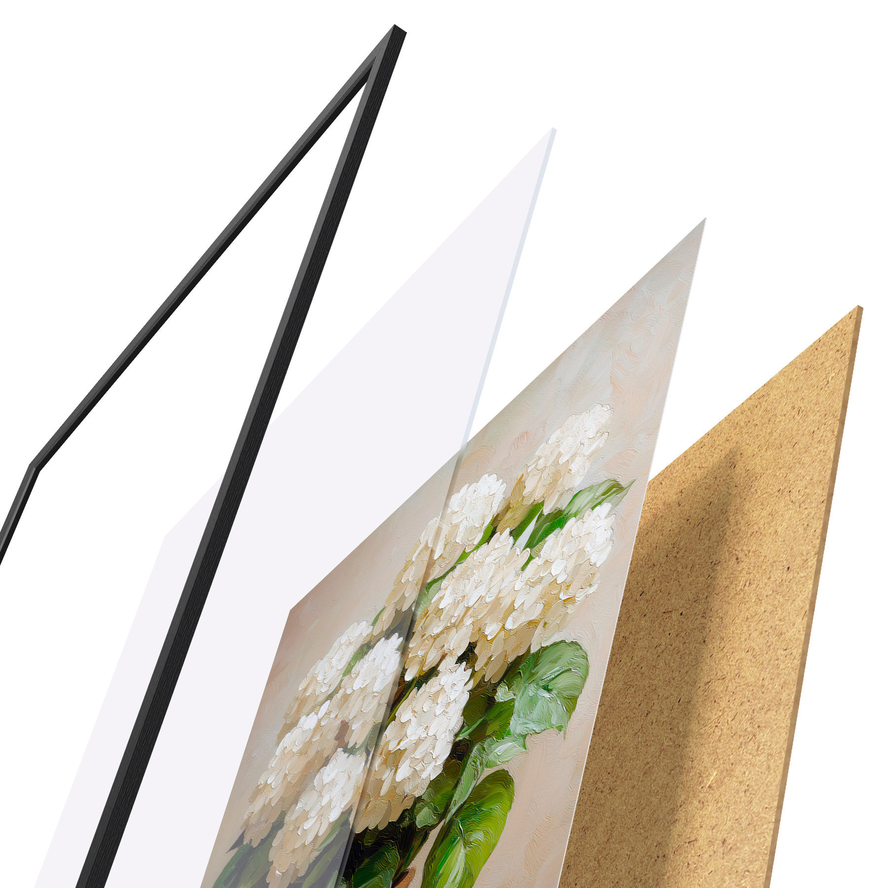 Poster Hortensii albe f51062