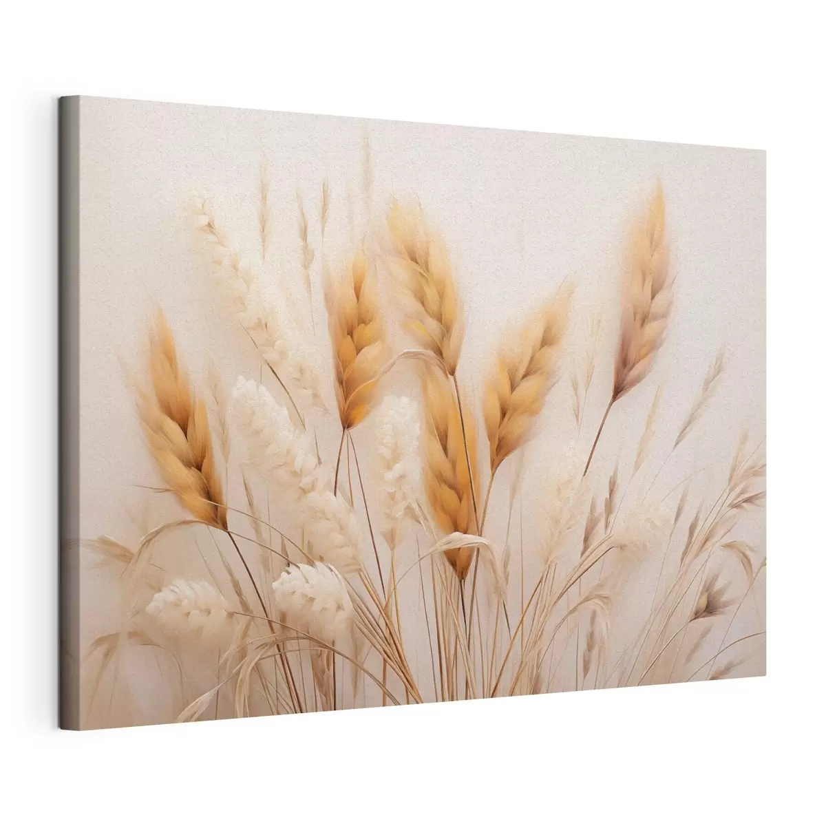 Tablouri Iarbă pufoasă de pampas în stil ecologic s51093