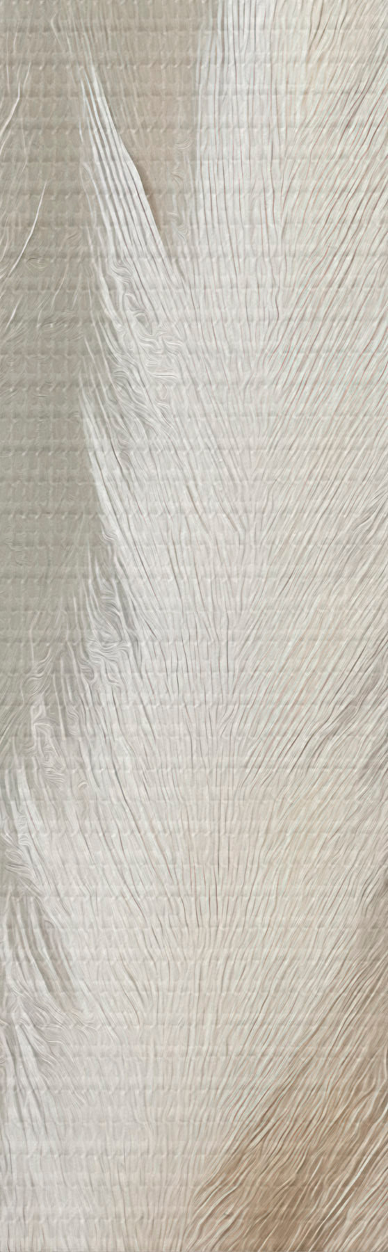 Tablouri Iarbă de pampas s51151