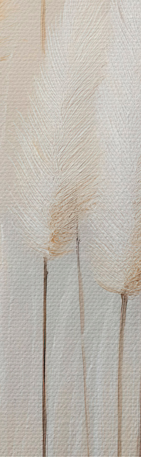 Tablouri Iarbă de pampas s51150