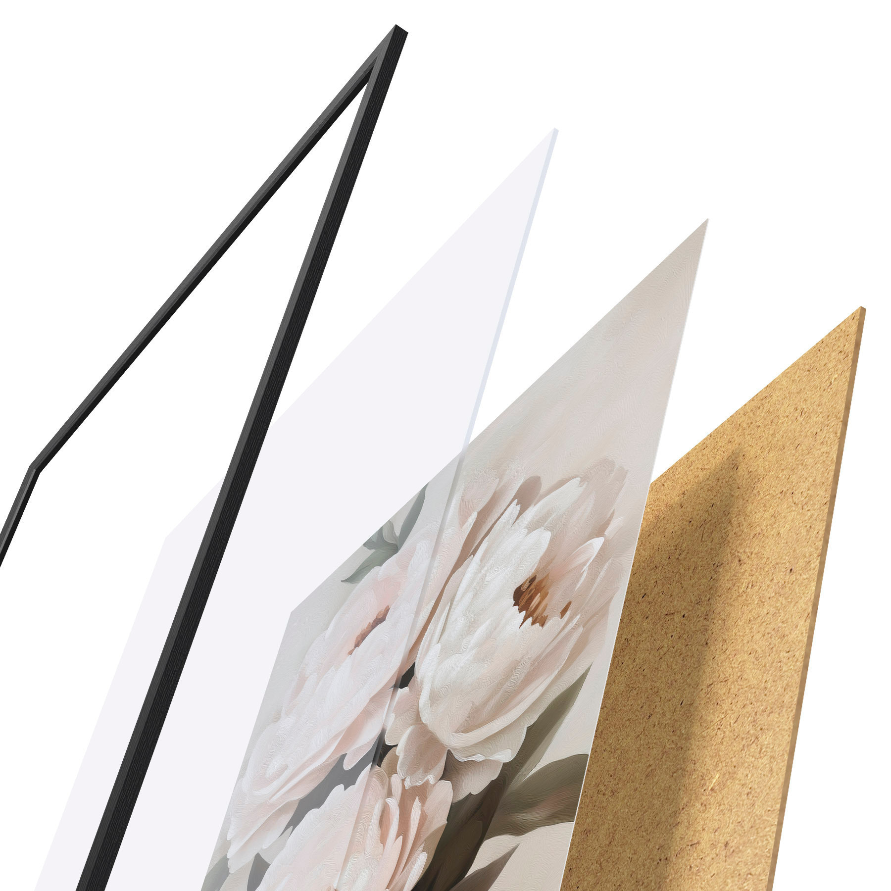 Poster Peonii f51154