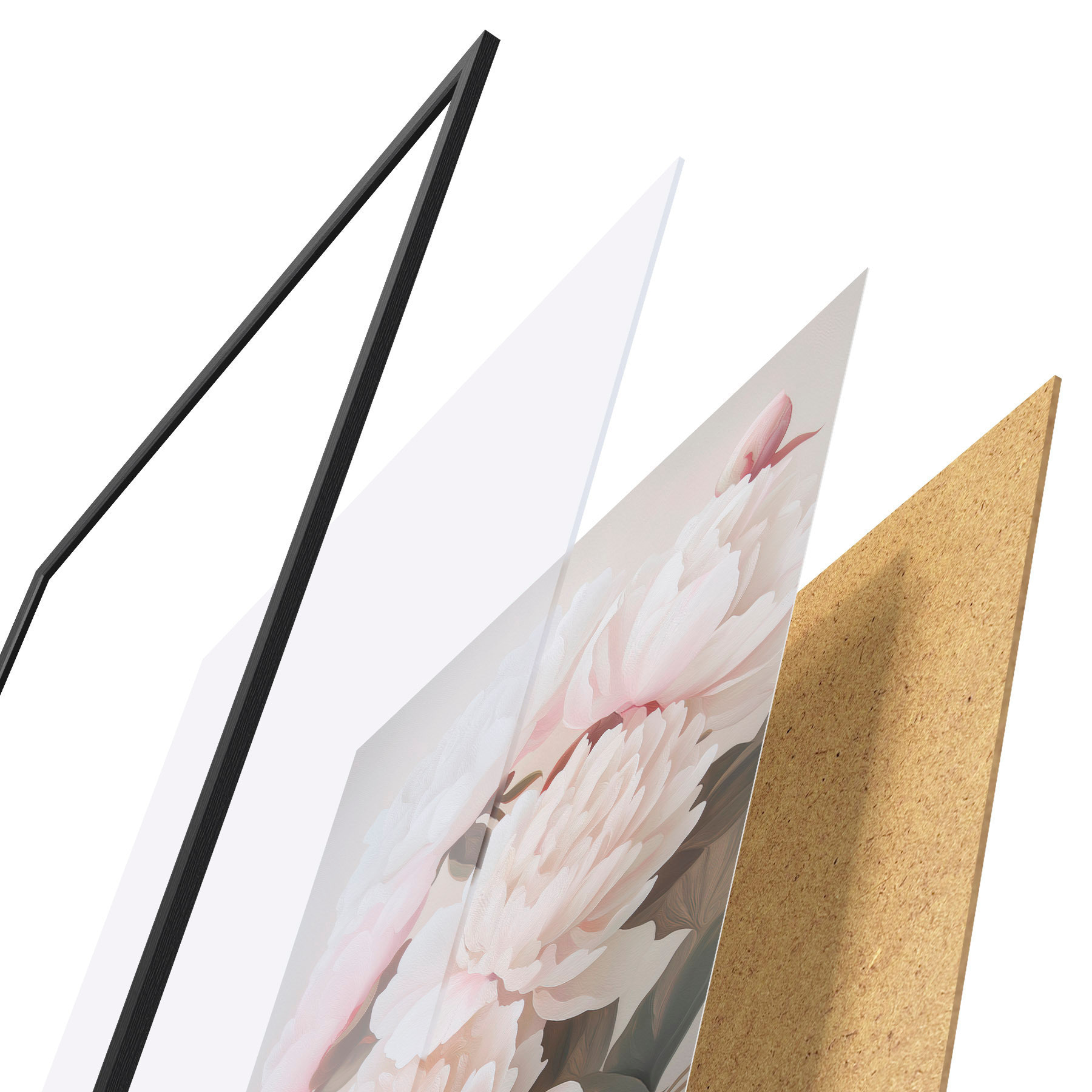 Poster Peonii d31104