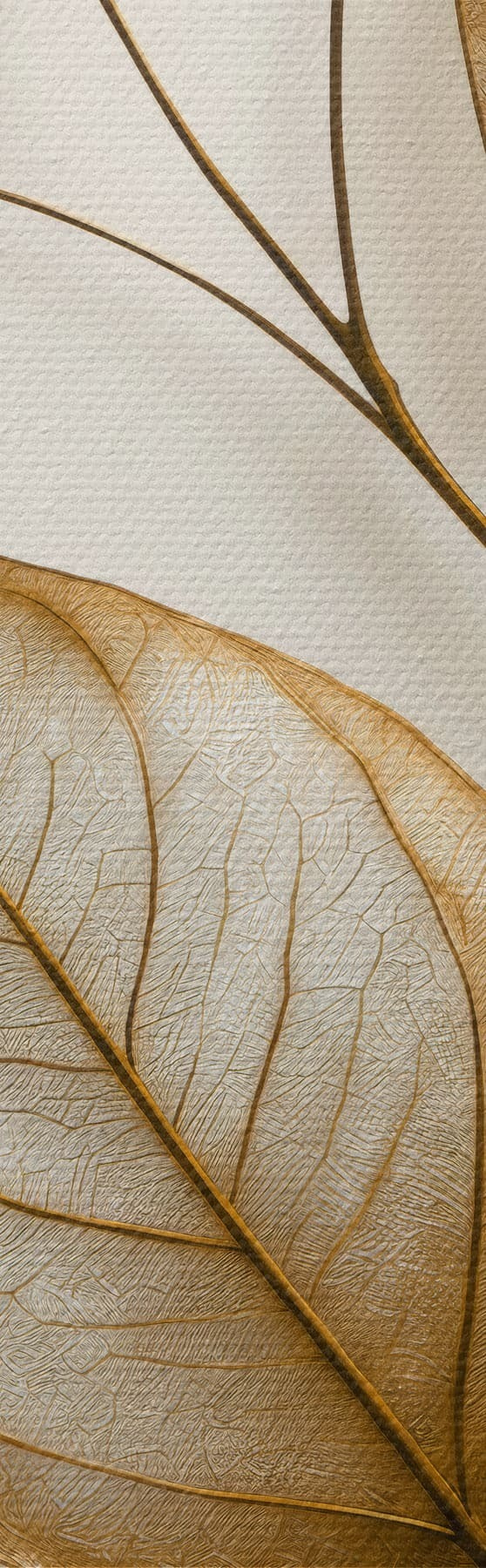 Tablouri Ramură botanică elegantă s50866