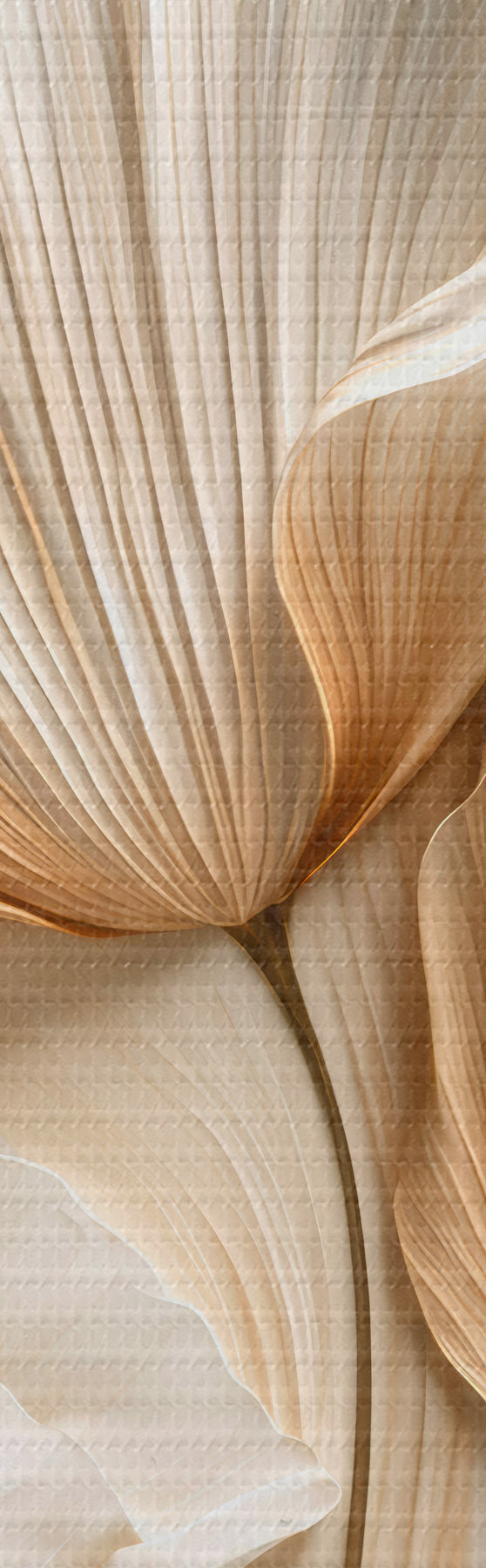 Tablouri Flori abstracte s50870