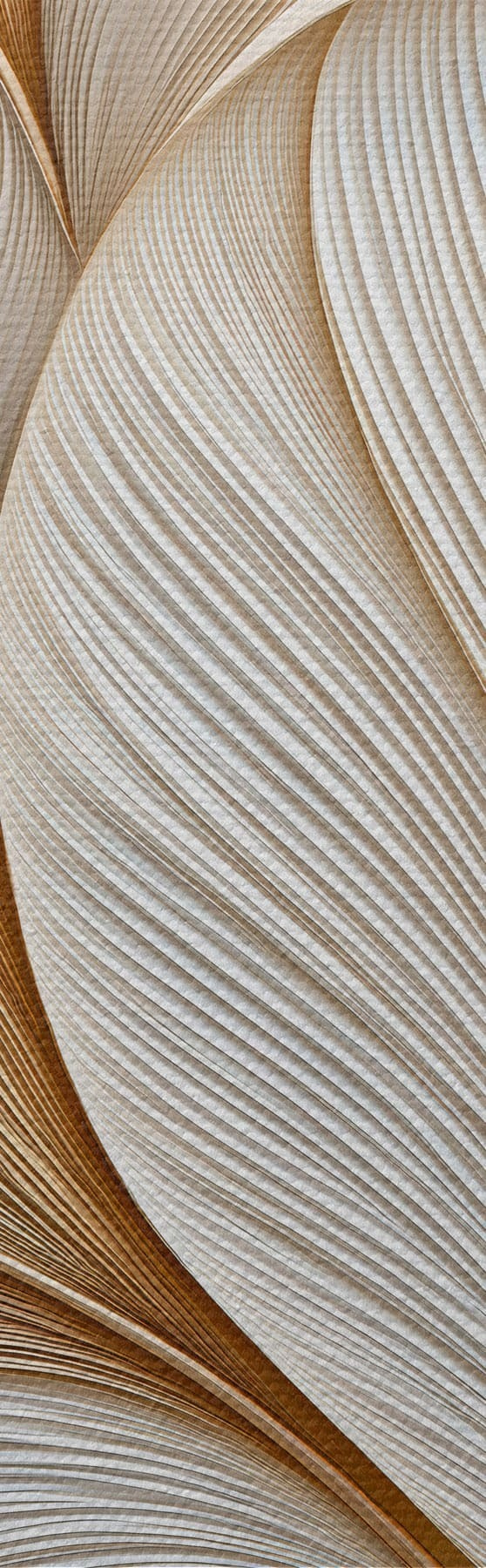 Tablouri Frunze abstracte s51177
