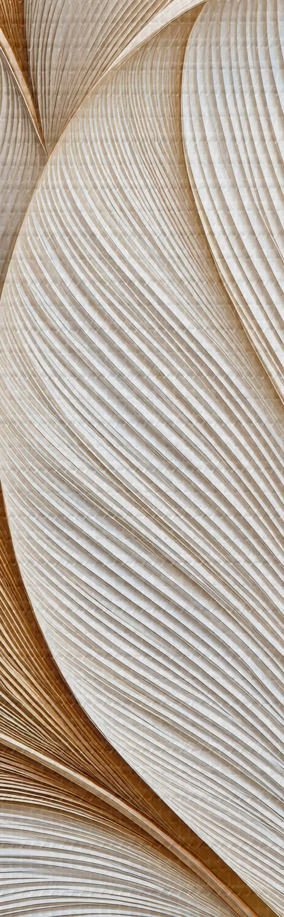 Tablouri Frunze abstracte s51177