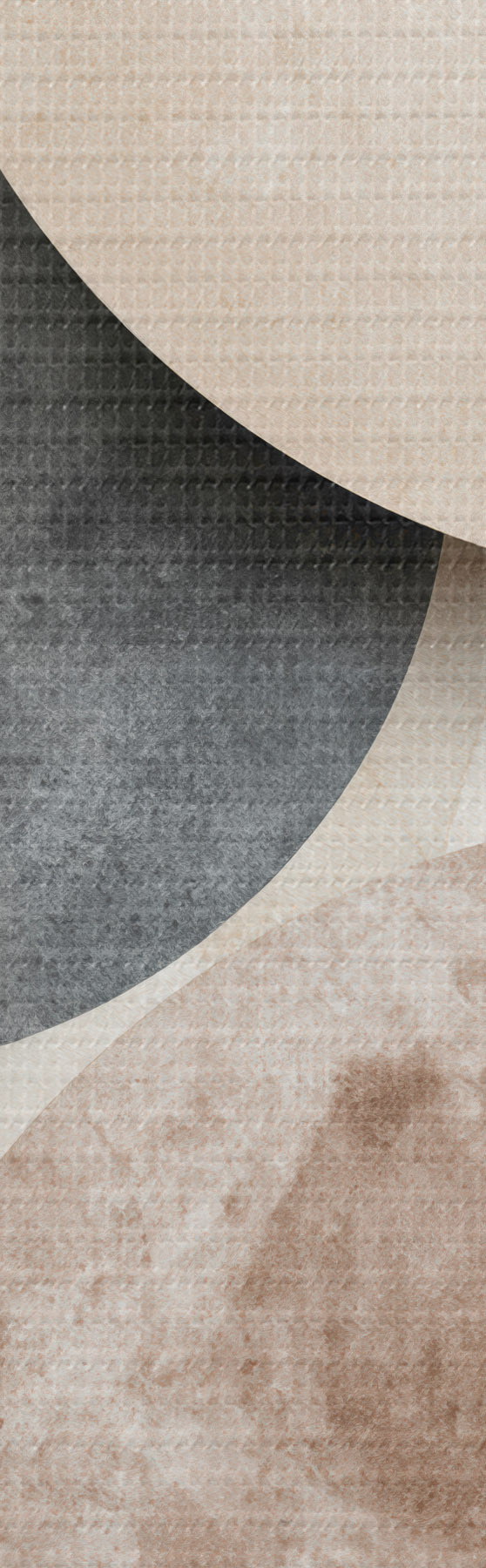 Tablouri Cercuri abstracte s51183