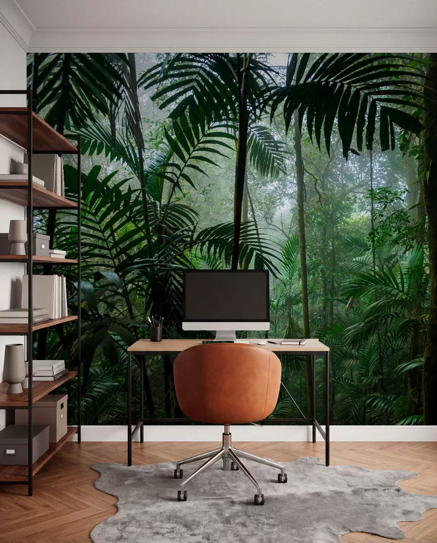 fototapet O pădure tropicală u72344