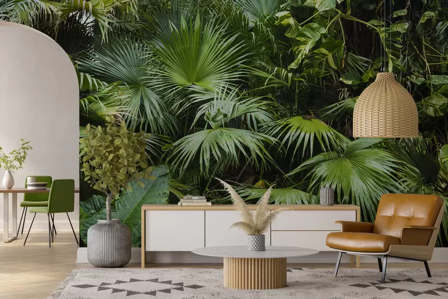 fototapet Frunze umede în junglă u93616