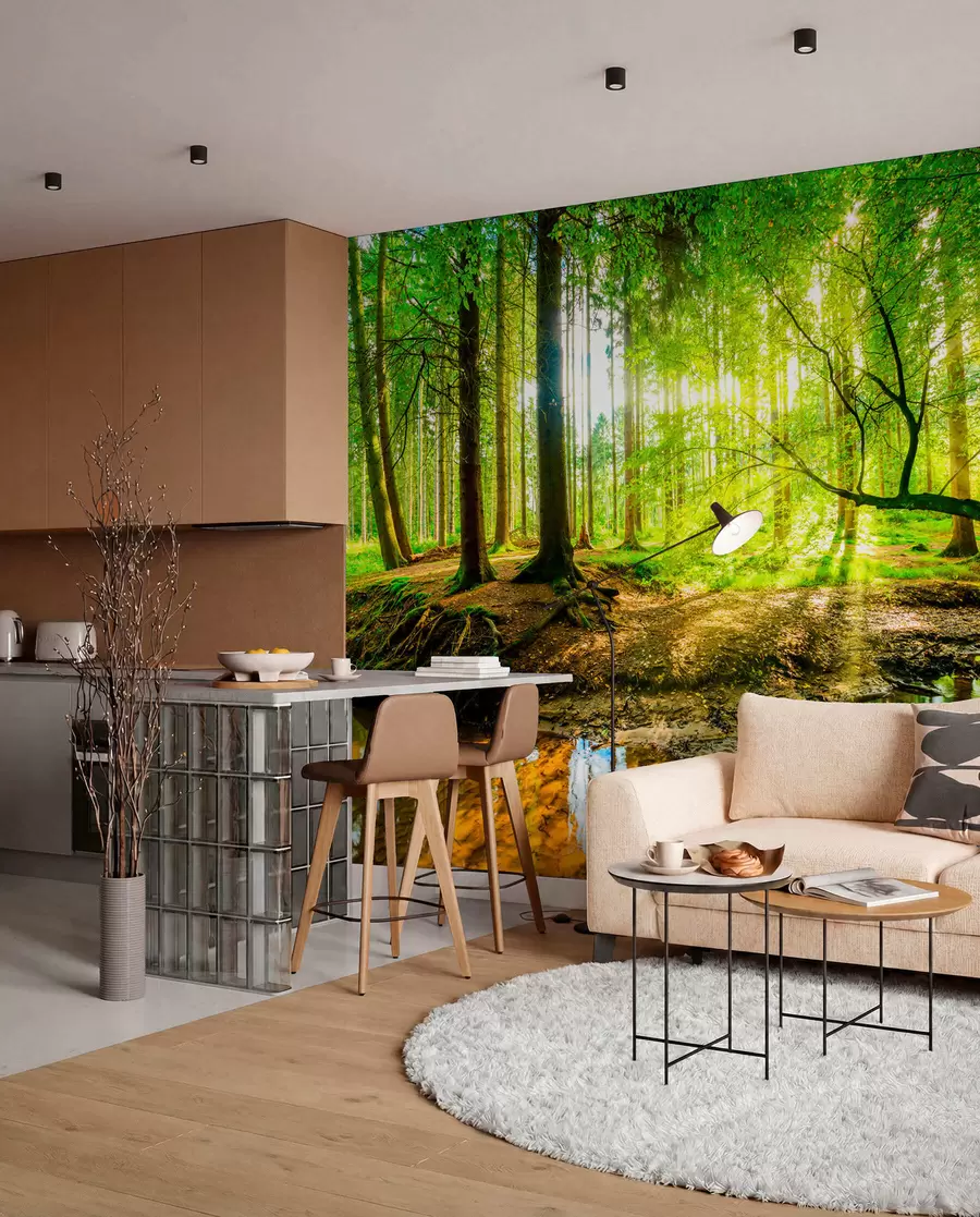 fototapet Transparența fluxului forestier u93621