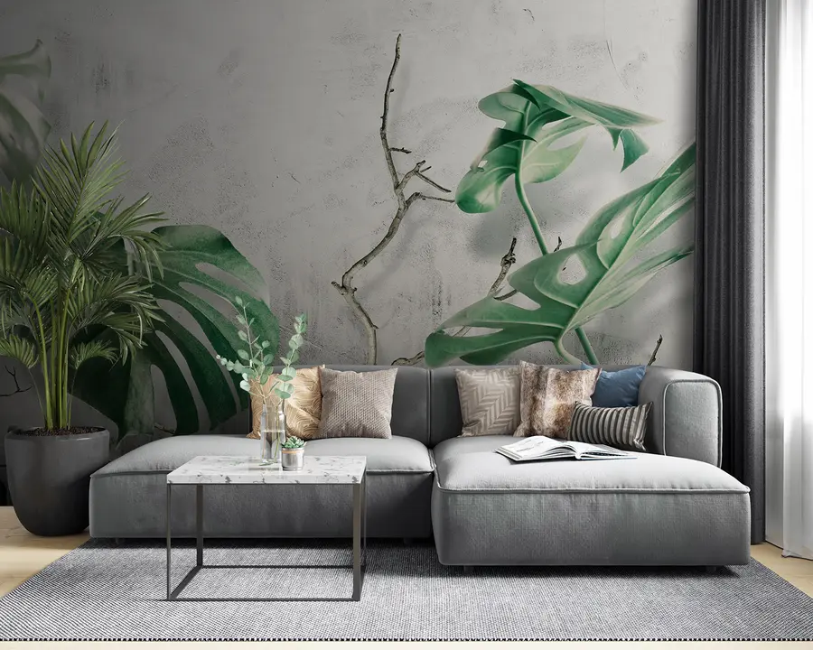 fototapet Plantă, frunze și organism u33606