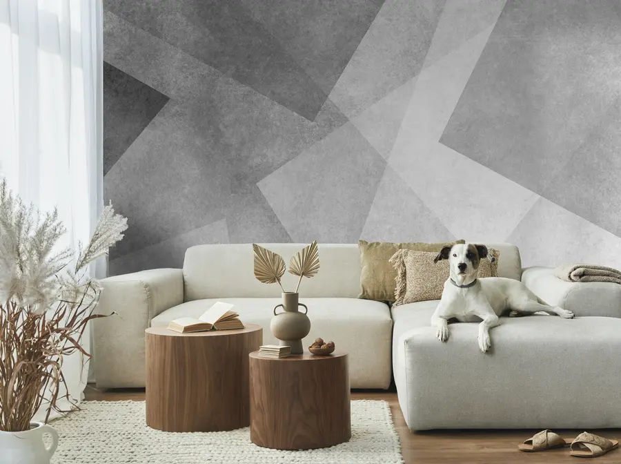 fototapet Abstracție geometrică de gri u74057