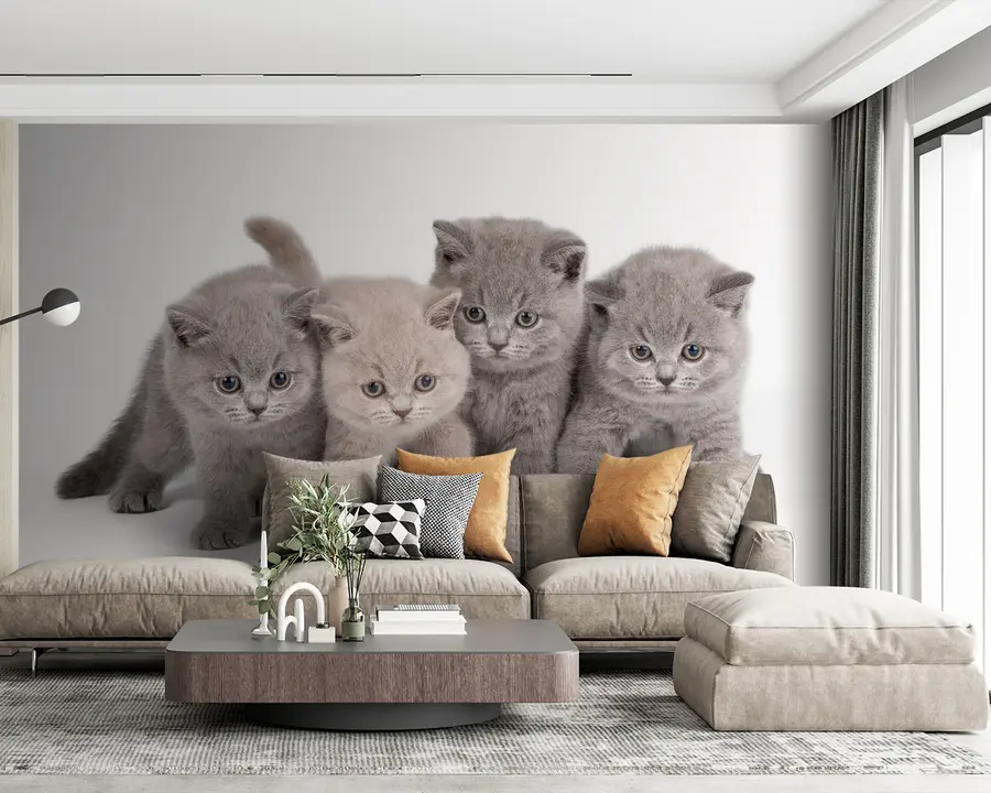 fototapet Ochi, pisică și carnivor u55076