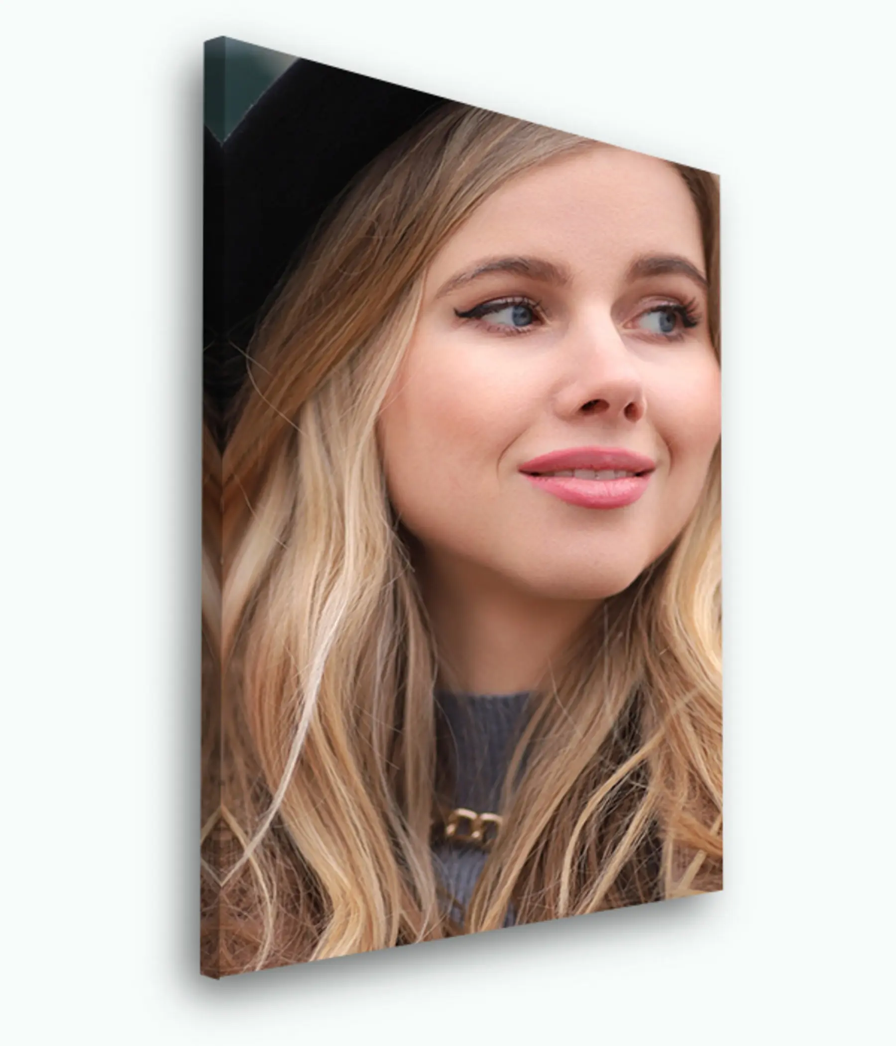 Tablouri Buză, câine și zâmbet s33285