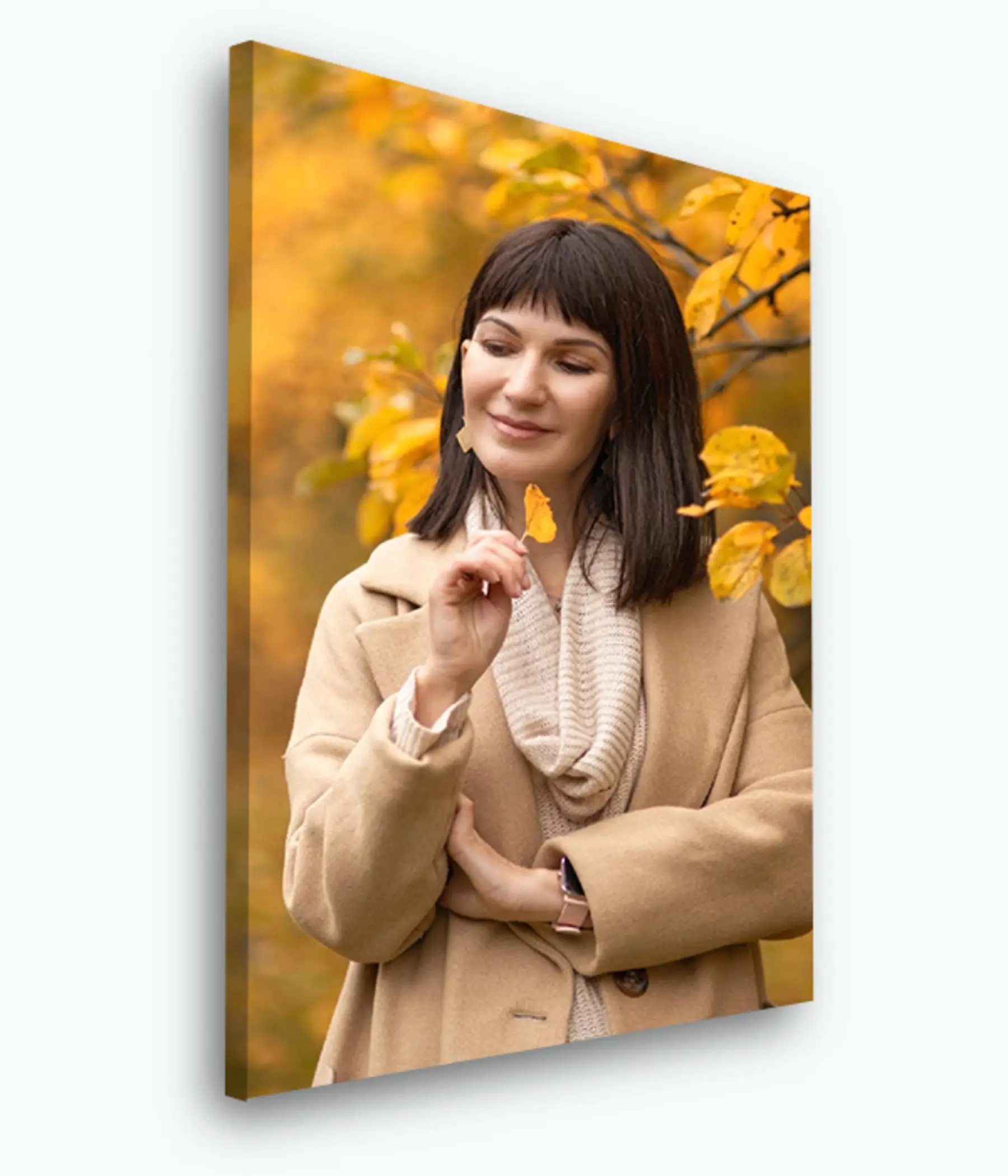 Tablouri Zâmbet, îmbrăcăminte exterioară și plantă s33290