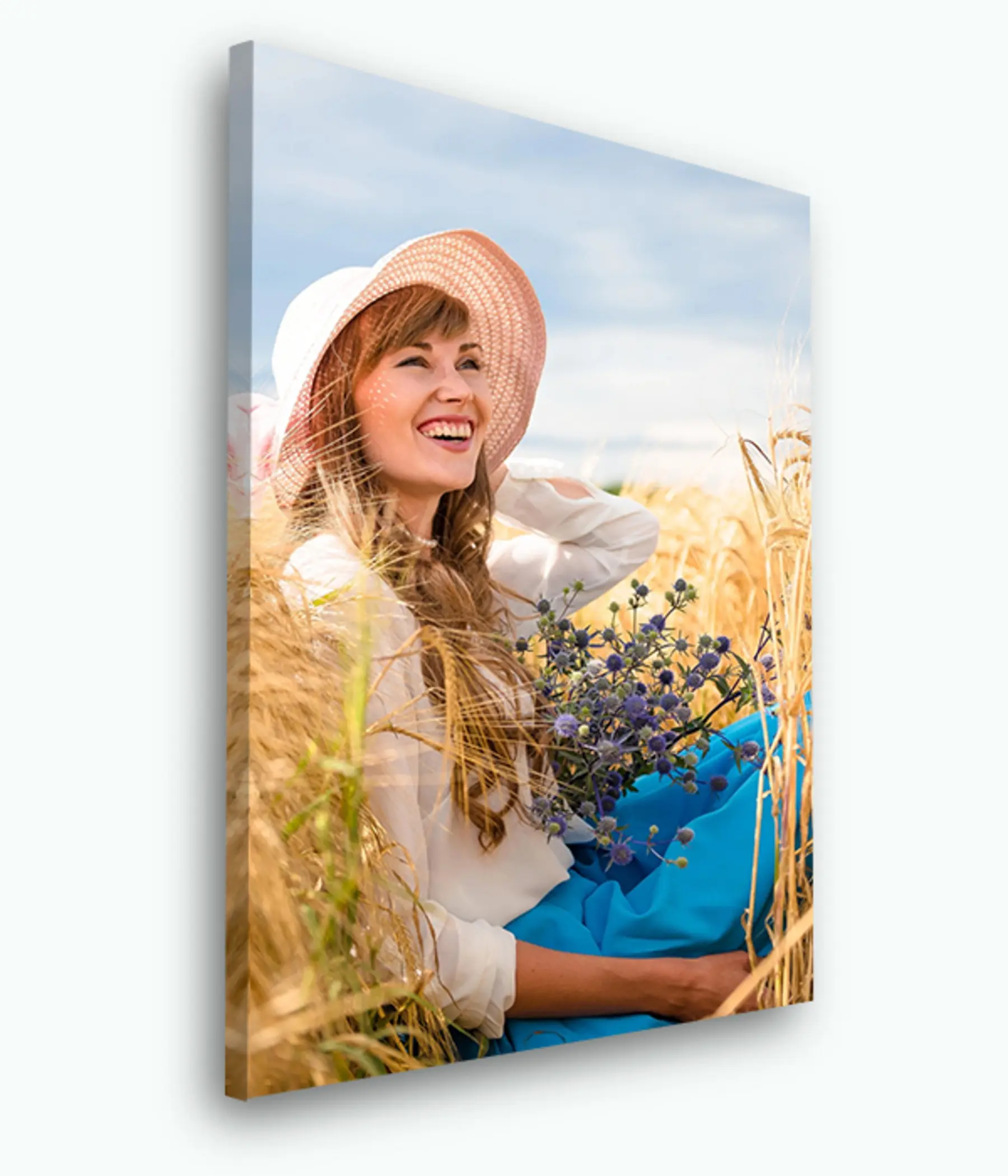 Tablouri Plantă, dreptunghi și pălărie s33358