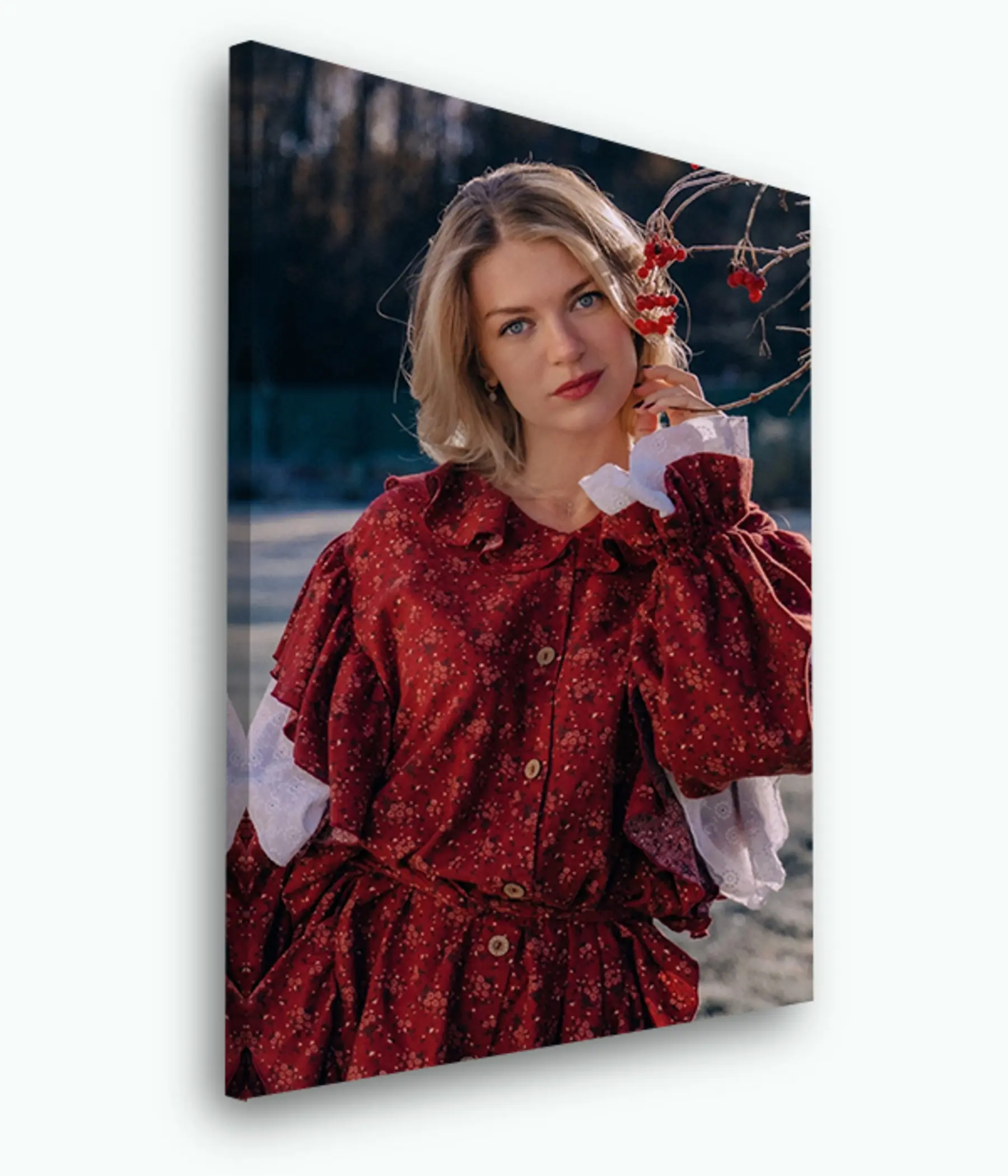 Tablouri Manșon, rochie și roșu s33415