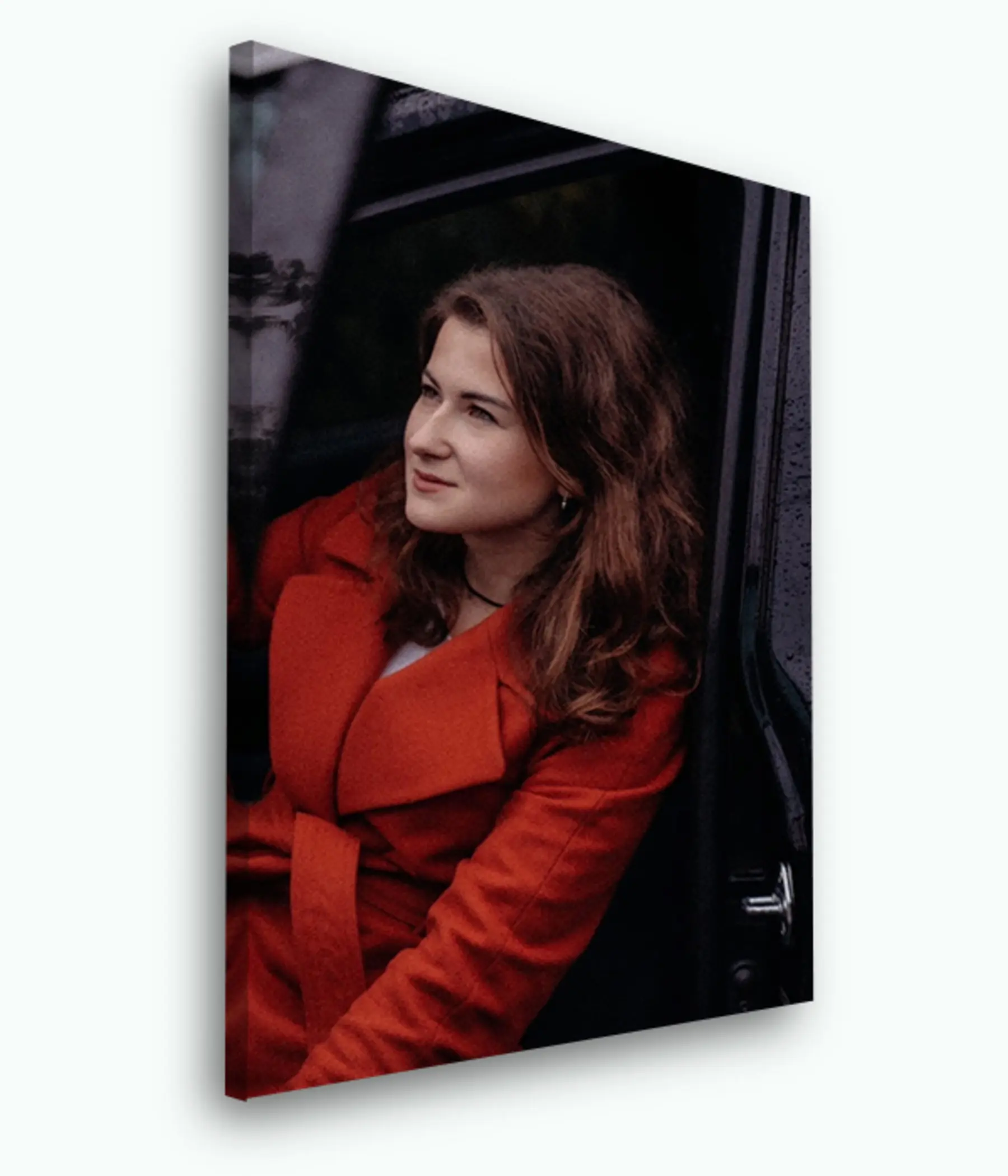 Tablouri Floare, plantă și blazer s33418