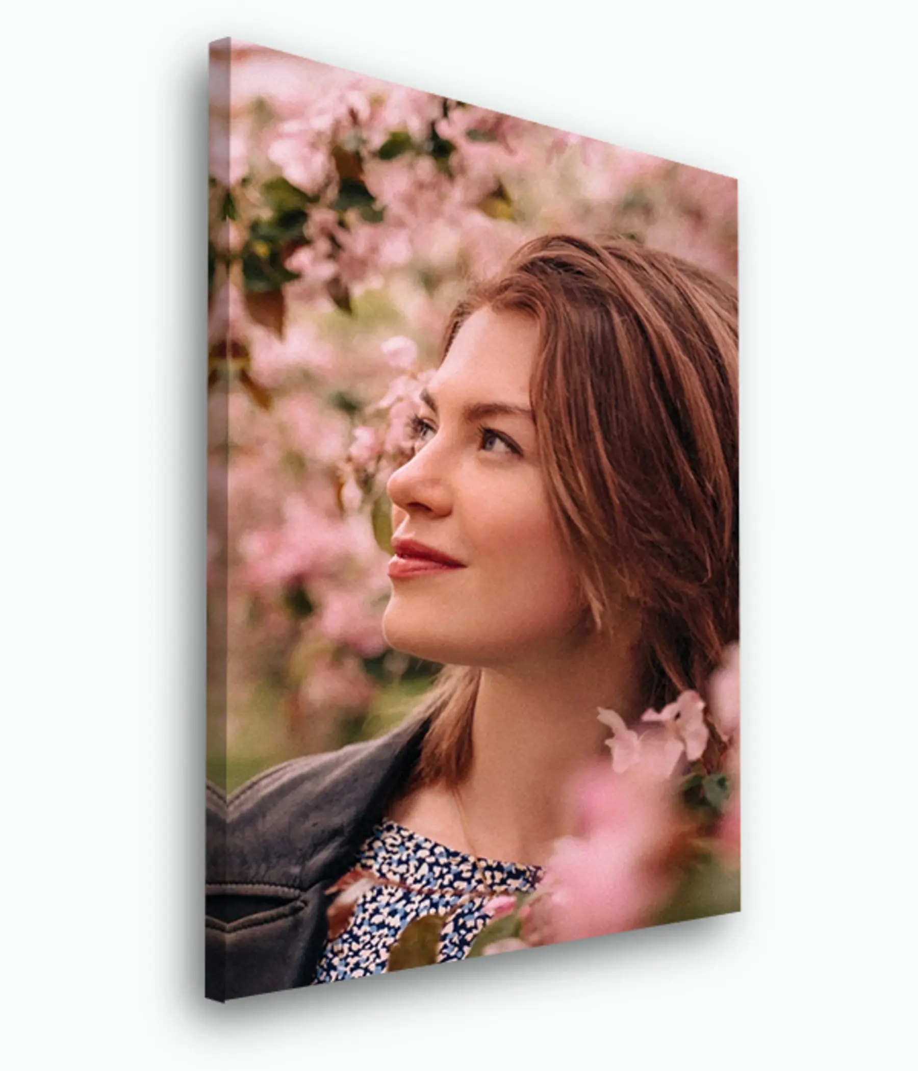 Tablouri Buză, floare și fotografie s33423